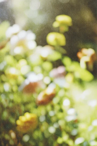 Ethereal Impressionist Motion style reference image — dappled light