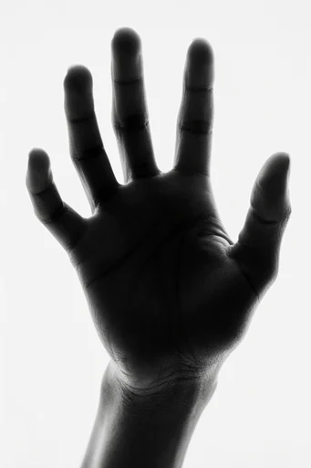 Minimalist Cinematic Monochrome style reference image — chiaroscuro lighting