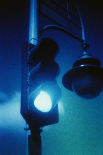 Ethereal Nocturnal Cyanotype style reference image — monochromatic film photography