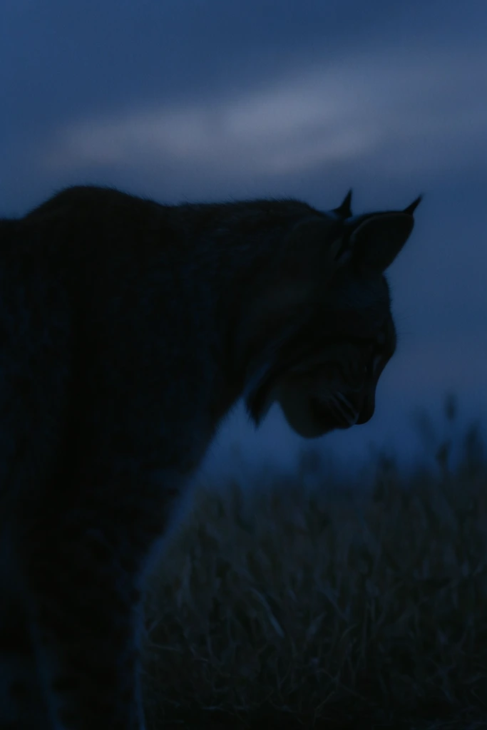 Nocturnal Twilight Melancholy style AI image example 3