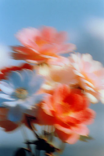 Ethereal Motion Dreamscape style reference image — dreamy haze
