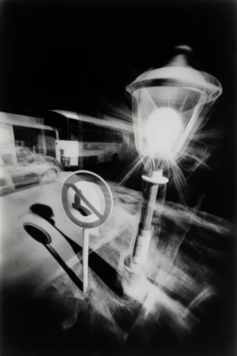 Monochromatic Avant-Garde Noir style reference image — high-contrast black and white