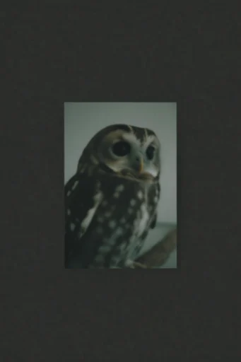 Nostalgic Liminal Impressionism style AI image example 3