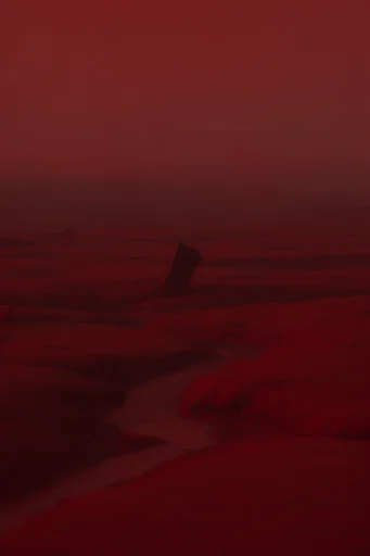 Monochromatic Crimson Noir style reference image — heavy atmospheric fog