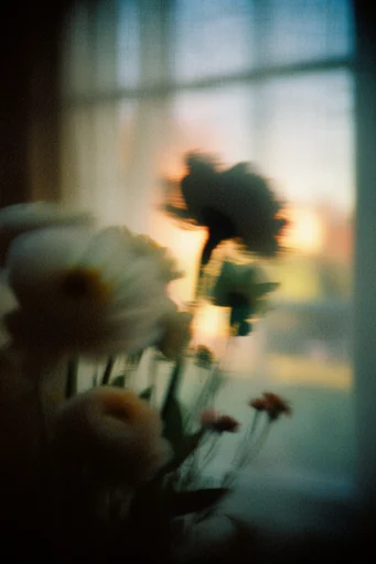 Amber Nocturne Pictorialism style reference image — moody chiaroscuro