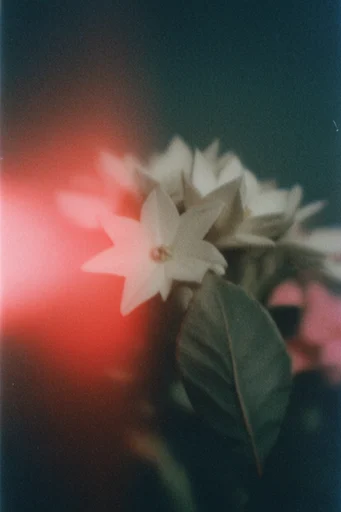 Spectral Analog Noir style reference image — lo-fi vintage texture