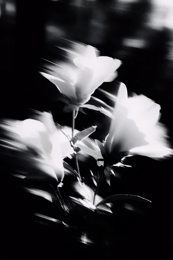 Spectral Motion Noir style reference image — long exposure