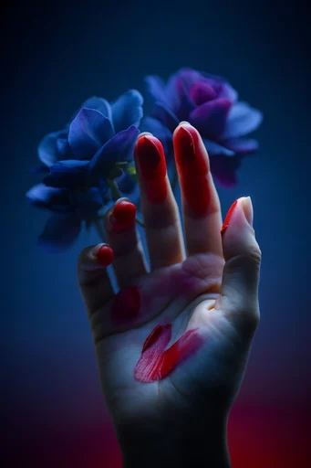 Luminous Nocturnal Botany style reference image — deep indigo atmosphere