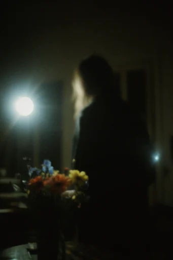 Nocturnal Analog Liminality style reference image — dreamlike haze