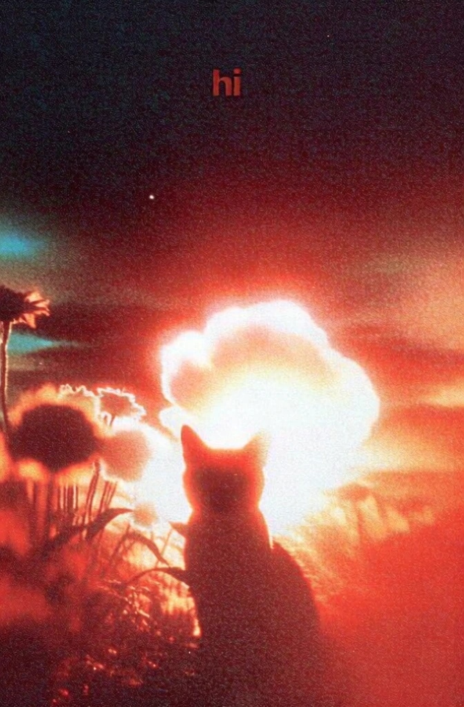 lo-fi archival film aesthetic, heavy 35mm grain, chromatic noise, silhouette of a cat looking forward, surrounded by dense foliage and flowers, blinding incandescent amber bloom radiating from the center, extreme halation, the word "hi" in a minimalist lowercase sans-serif near the top edge, deep crimson-to-black negative space with subtle stellar dust, vintage analog photography texture, high-contrast fiery monochromatic palette, ethereal and nostalgic mood