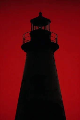 Crimson Noir Minimalism style reference image — graphic minimalist portrait