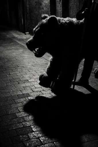 Monochrome Glitch Noir style reference image — analog signal degradation