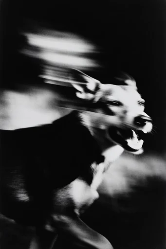 Spectral Kinetic Noir style AI image example 3