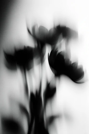 Kinetic Monochrome Abstraction style reference image — shutter drag