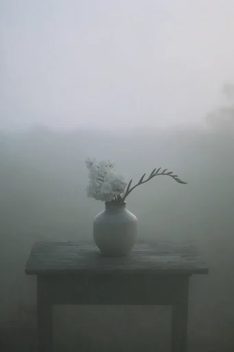 Ethereal Atmospheric Solitude style reference image — minimalist landscape