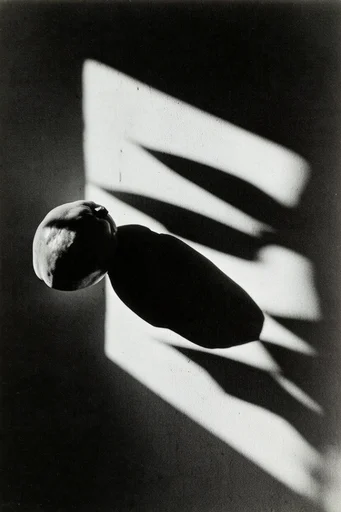 Experimental Noir Monochromes style reference image — chiaroscuro lighting