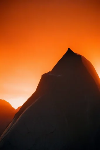 Luminous Amber Silhouette style reference image — stark silhouette