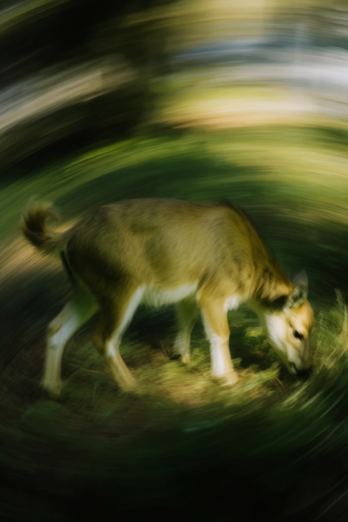 Verdant Painterly Solitude style AI image example 3