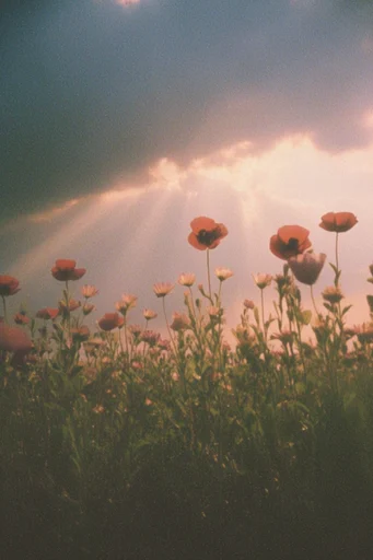 Ethereal Analog Nostalgia style reference image — warm chromatic glow