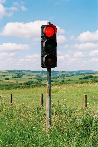 Surreal Pastoral Pop style reference image — cinematic composition