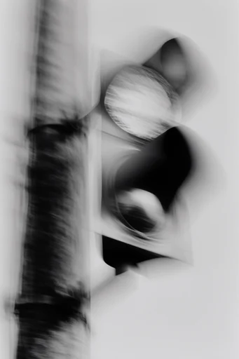 Ethereal Kinetic Monochrome style reference image — shutter drag