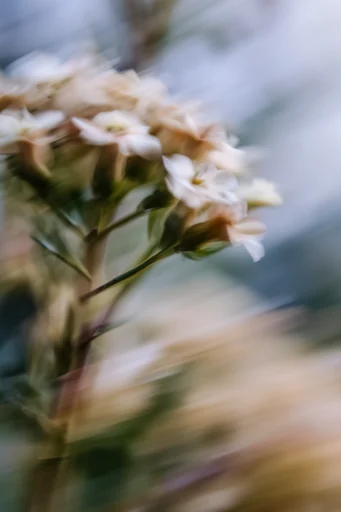 Dynamic Kinetic Impressionism style reference image — sweeping abstract trails
