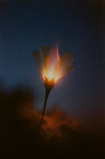 Ethereal Nocturnal Motion style reference image — liminal space