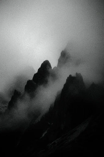 Atmospheric Monochrome Grain style reference image — extreme film grain