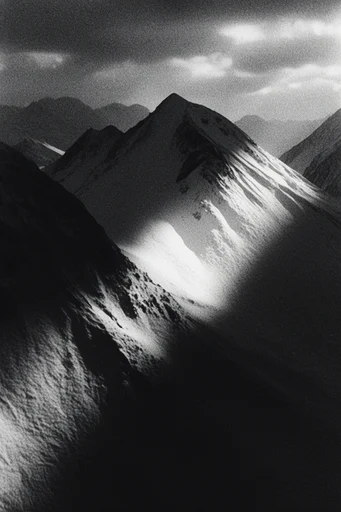 Fractured Noir Realism style reference image — high-contrast black and white