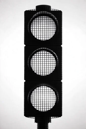 Monochrome Graphic Grids style reference image — geometric grid overlay