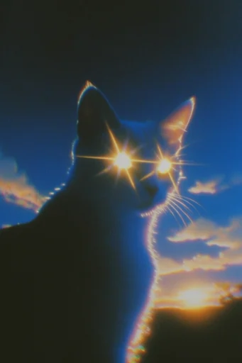 Cinematic Nocturnal Prism style reference image — high-contrast silhouette