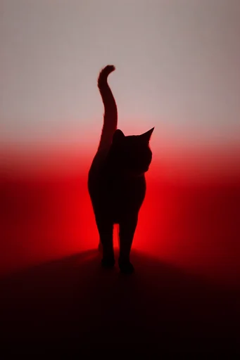 Monochromatic Crimson Noir style reference image — chiaroscuro