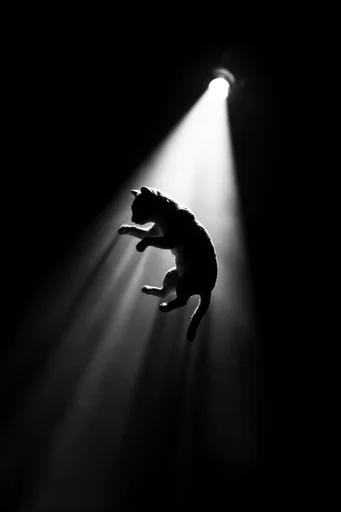 Monochrome Spectral Minimalism style reference image — ethereal silhouette