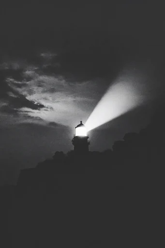 Cinematic Monochrome Noir style reference image — atmospheric noir