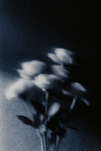 Haunting Spectral Noir style reference image — analog artifacting