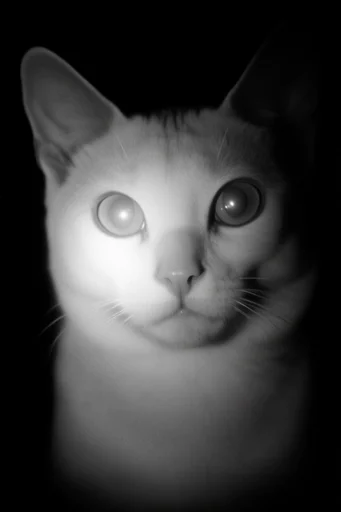 Stark Cosmic Noir style reference image — harsh rim lighting