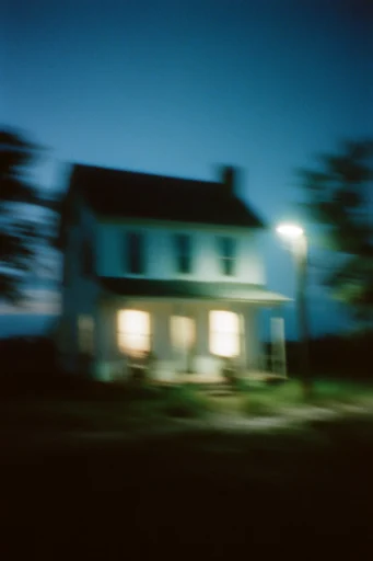 Nocturnal Cinematic Blur style reference image — nocturnal atmospheric fog