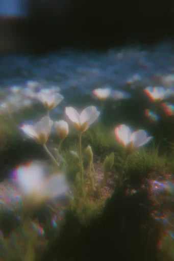 Luminescent Analog Dreamscape style reference image — digital glitch decay