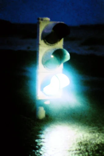 Spectral Luminescent Noir style reference image — bioluminescent glow