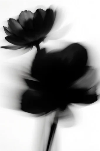 Kinetic Monochrome Silhouette style reference image — ghostly motion trail