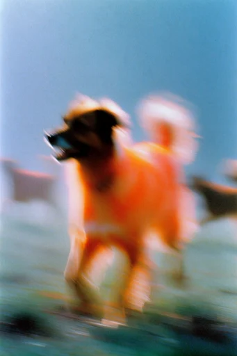 Ethereal Analog Dreamscape style reference image — teal and orange contrast
