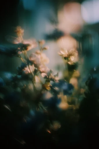 Ethereal Nocturnal Pictorialism style reference image — dreamlike ethereal haze