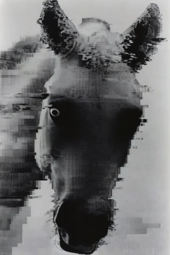 Monochrome Glitch Decay style AI image example 3