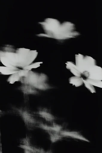 Haunting Liminal Monochrome style reference image — grainy charcoal texture