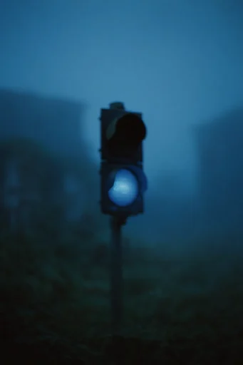 Nocturnal Pictorialist Mist style reference image — dense atmospheric fog