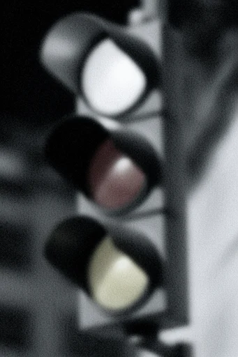 Cinematic Monochrome Noir style reference image — intimate candid photography