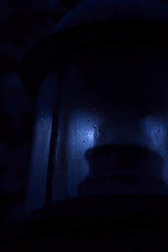 Nocturnal Bioluminescent Noir style reference image — glistening wet skin texture