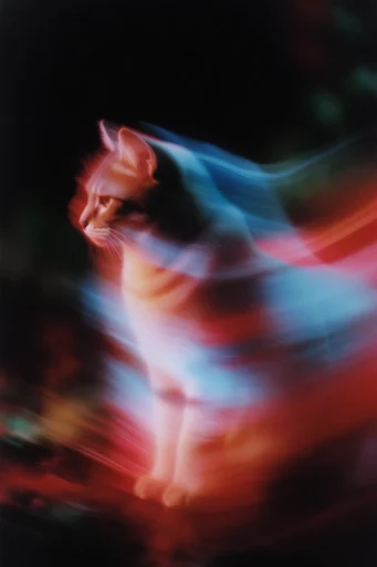 Spectral Kinetic Motion style reference image — neon light refraction