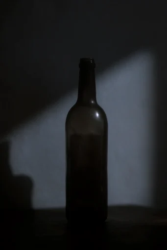 Cinematic Chiaroscuro Portraiture style reference image — low-key lighting