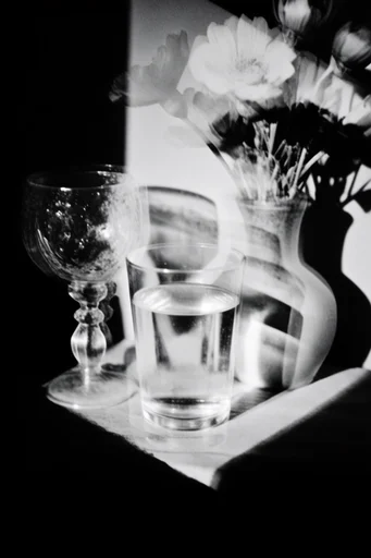 Spectral Monochrome Noir style reference image — high-contrast monochrome